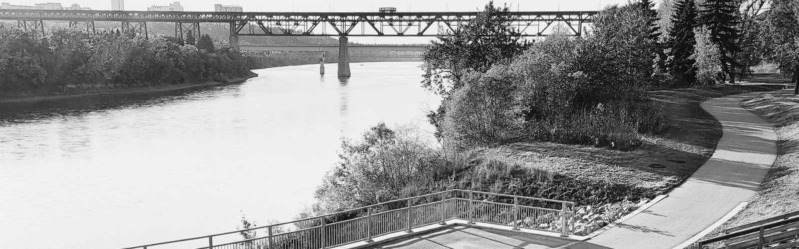 Edmonton river valley in black and white